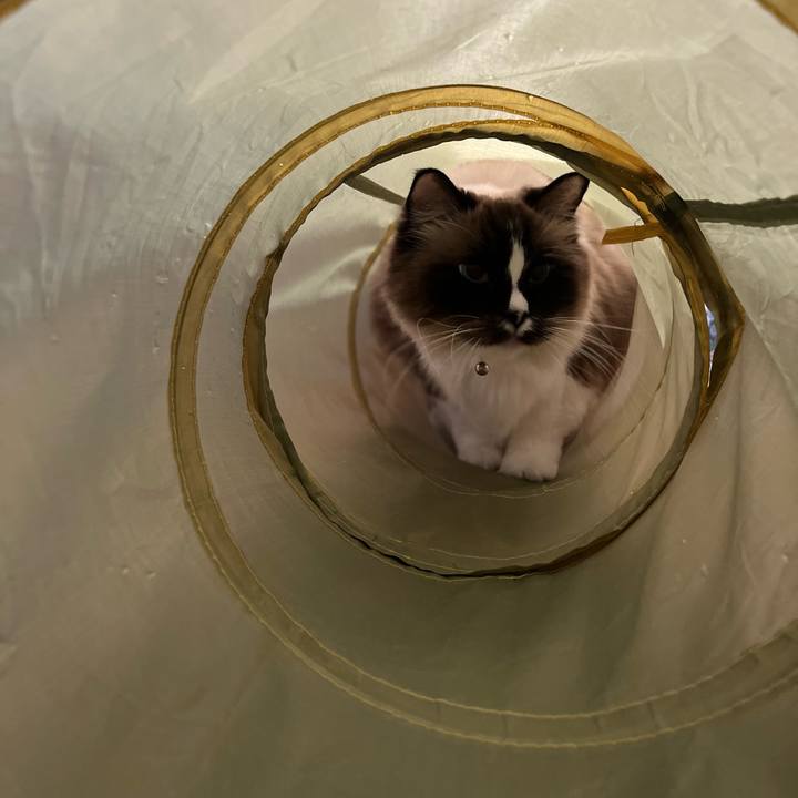 Fc35db59 1591 413e b4c1 c12b68151d04 1647773177344