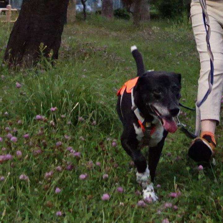 Fc35ea63 f1c2 4e9f a7e4 6aa3de8363c5 1752317416490