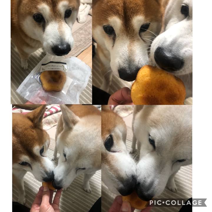 Fc35ec17 e56d 4e65 bea9 4457e8c5b137 1580724537348