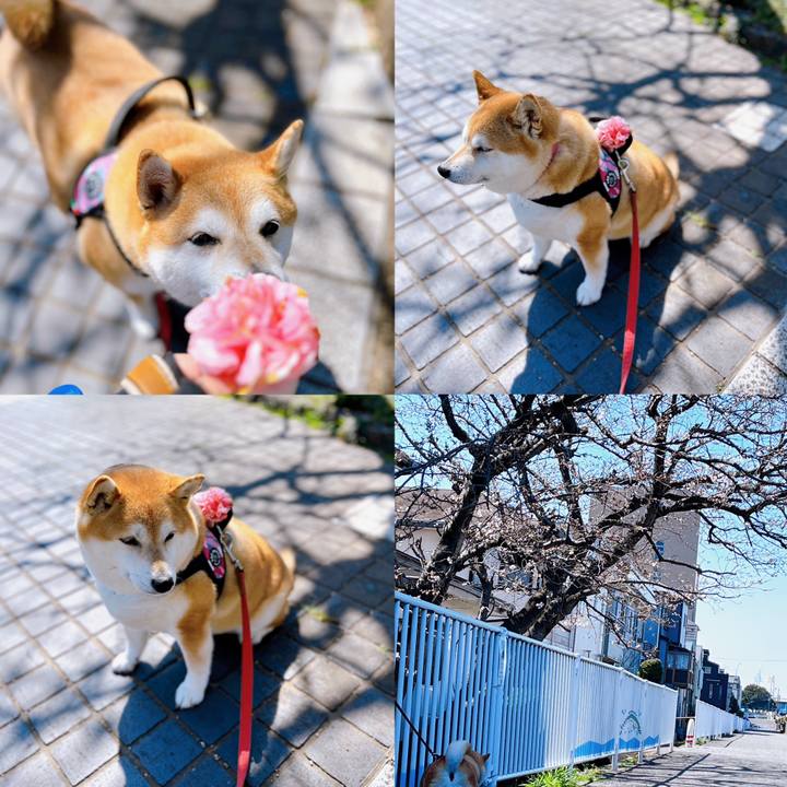 Fc35f34b 7db3 4897 84a8 69c17698c8c4 1679282041565