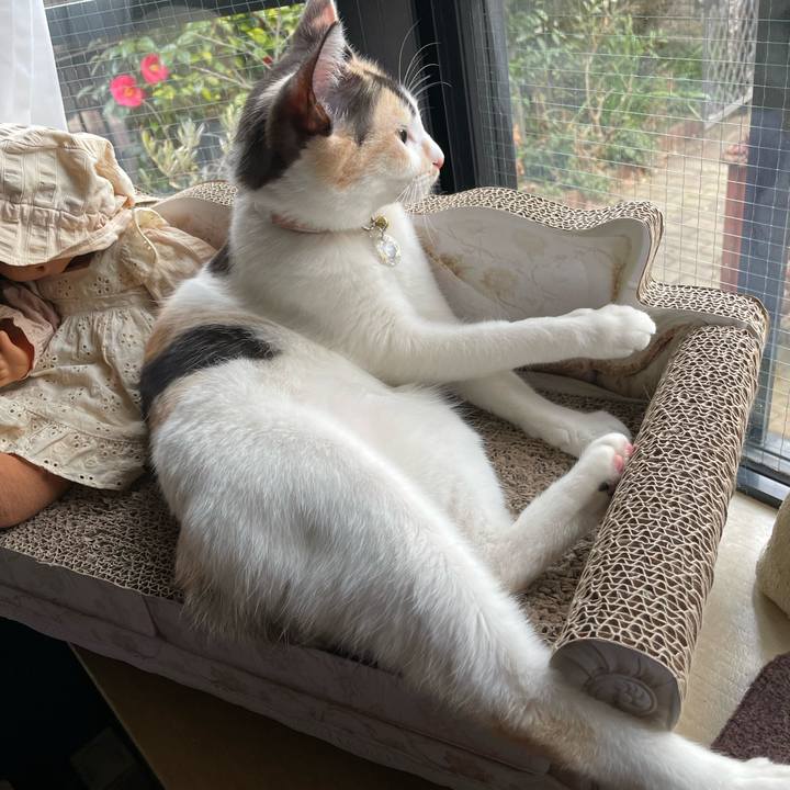 Fc36102b 7eb0 4162 993e 7a10c484efbf 1678958023355