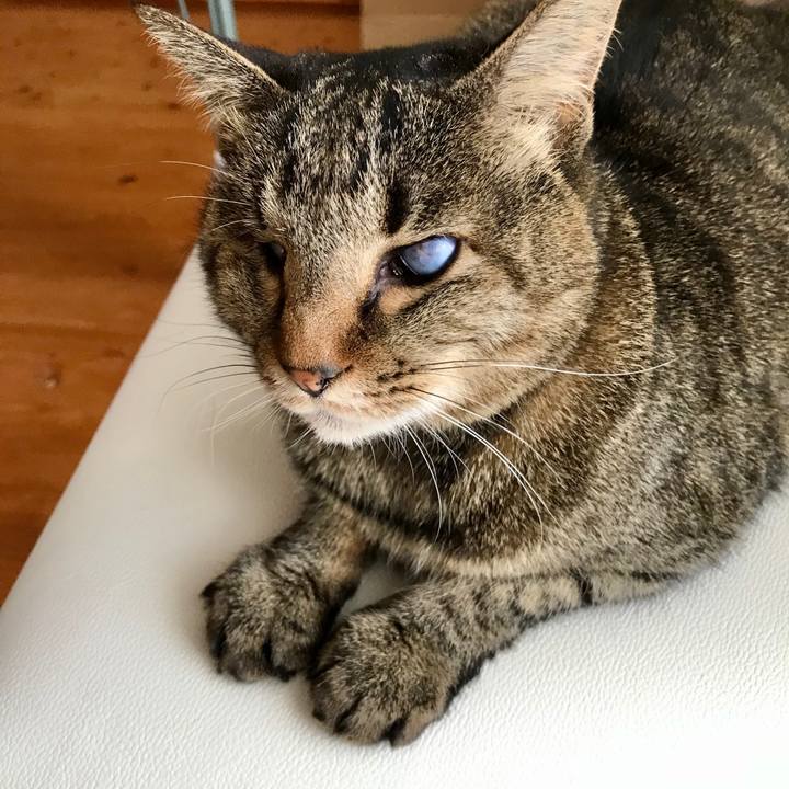 Fc361507 b10d 4e9d 9f33 03ac2727a95d 1588050083150