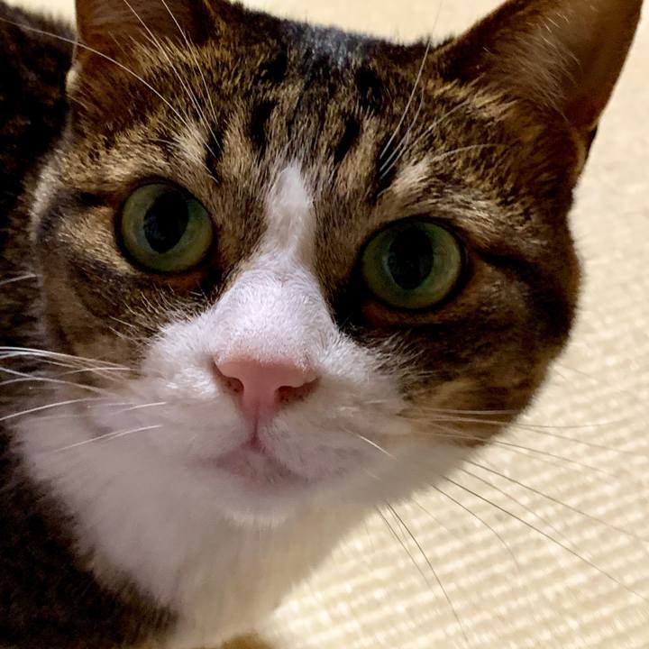 Fc369411 19ad 4926 b12f b8a4660f1de6 1561030540336