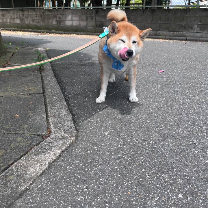 Fc36cfe4 25a4 4601 bcfe 6d43489eed06 1719633769338