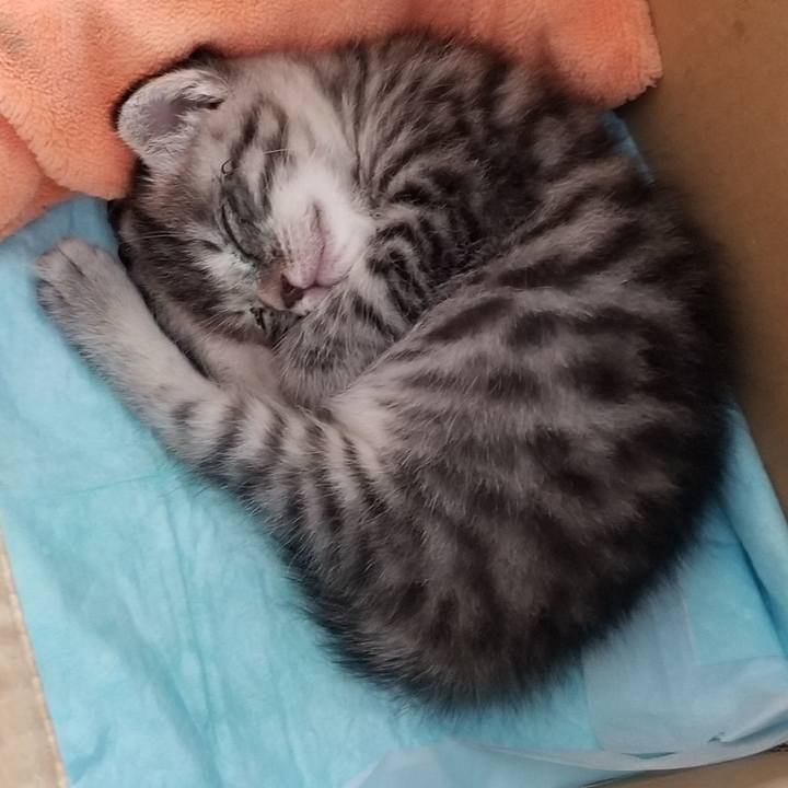 Fc36eddc bea8 4ce6 8dfb cc938fd990f1 1660046982389