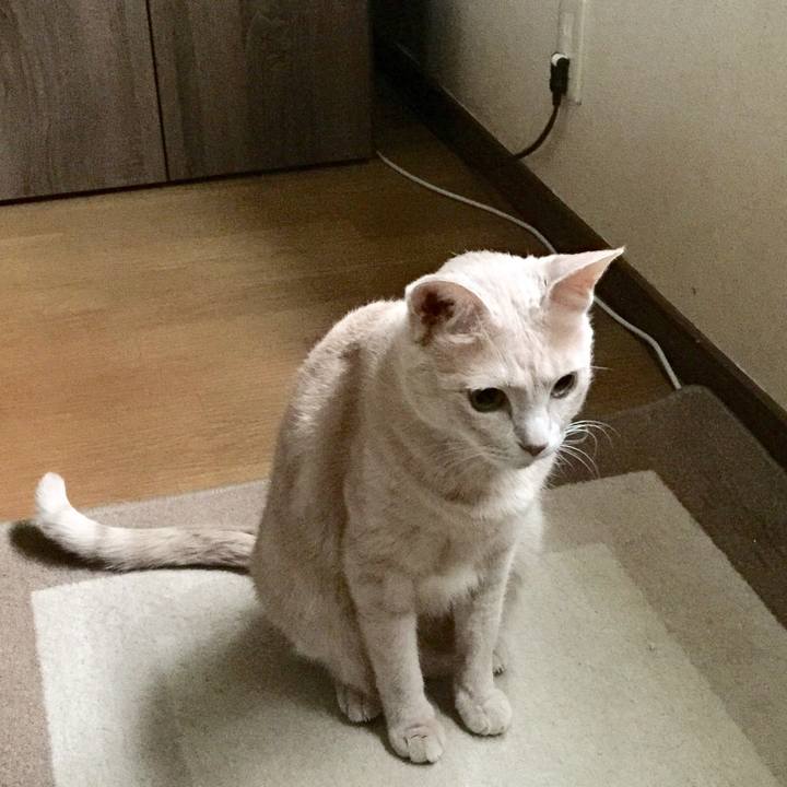 Fc371e4a 15ce 4584 9e4d 4f57df696d9f 1535147029498