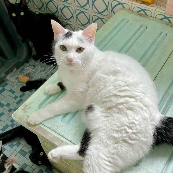 Fc376161 a825 4b77 830d 0affe8d93085 1660716651088