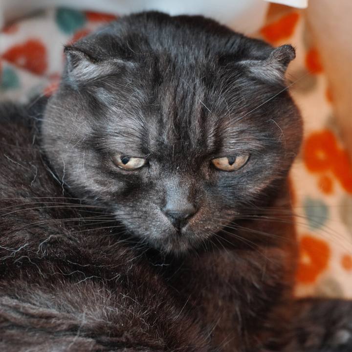 Fc37995d 750f 4492 ab7c 38aa97713184 1618756747112