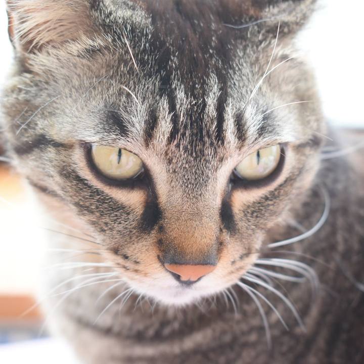 Fc37bbed a039 47ee b4a3 75c6cf8636b7 1522994701927