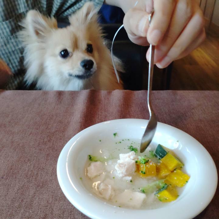 Fc37d089 a456 4cbe b077 ca3637ecfdf2 1749425574567