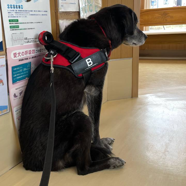 Fc37da00 7766 4c60 83f0 c0c9cb2d6b3c 1764229016800