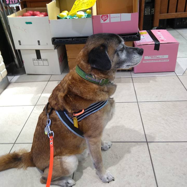 Fc37dbb2 cf89 4bde a368 7111cad074d8 1548237937598