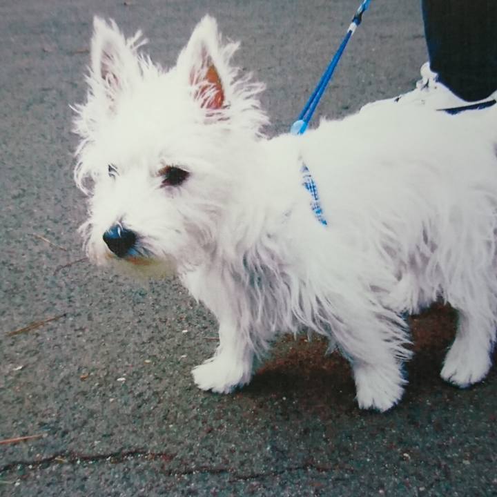 Fc38229a e26c 4cf8 b4bf 107b80d8e632 1535289670867