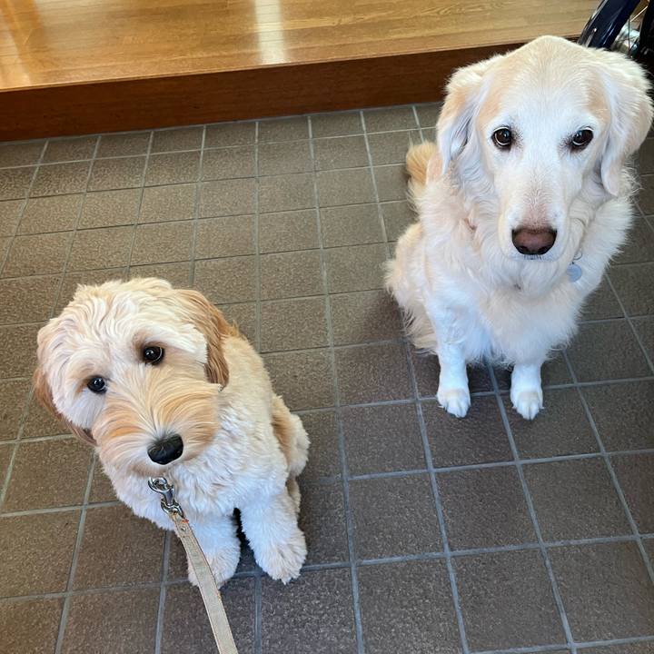 Fc382388 9c18 4795 9bca 458735dffa82 1700088724084