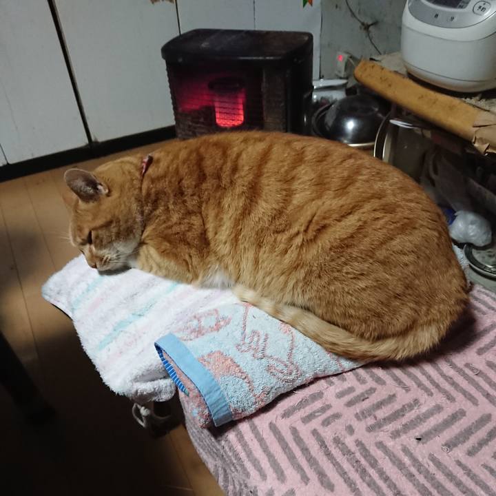 Fc386055 798a 4e28 b7ba 23493640bf07 1607719146028