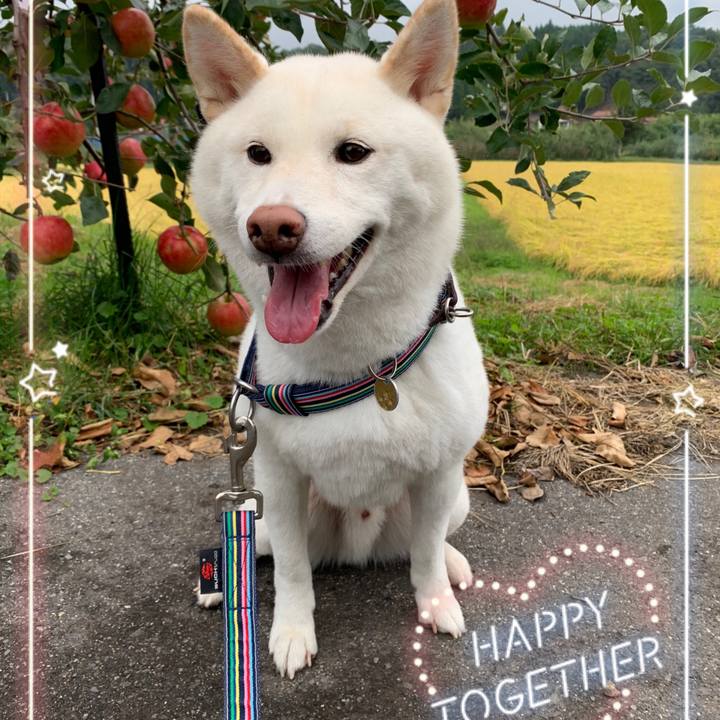 Fc389584 7db9 4280 8105 69549e403311 1601786374123