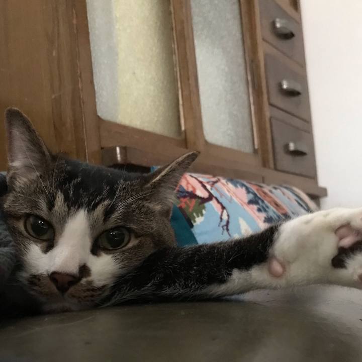 Fc39229a 84d4 4193 a8e2 20f5de176294 1562655545240