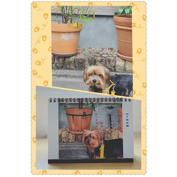 Fc393e7d 1635 470d 9582 fad05f82665c 1567295442411