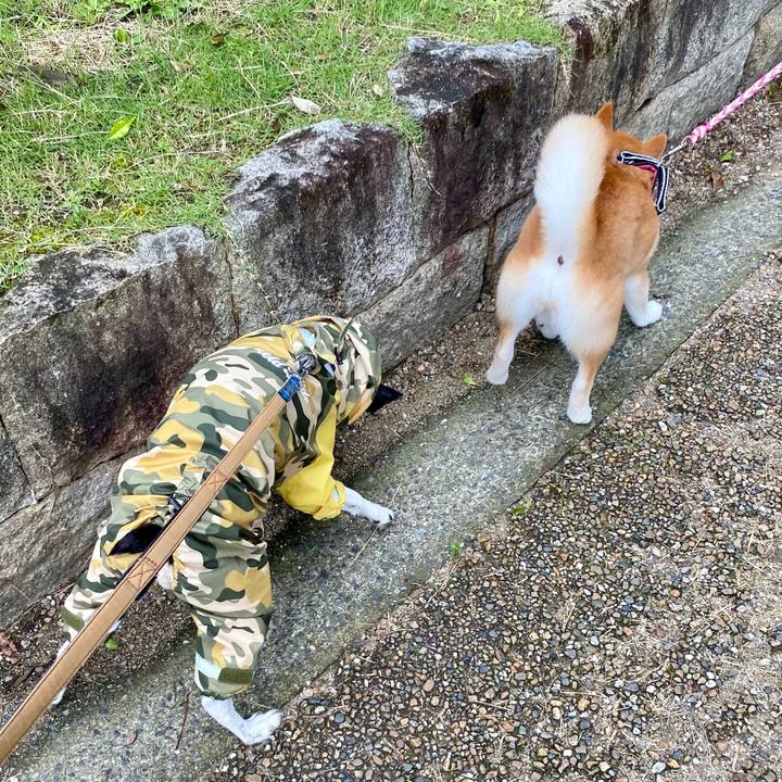 Fc397979 fd6c 4290 b94b db03080e17ae 1622945417038