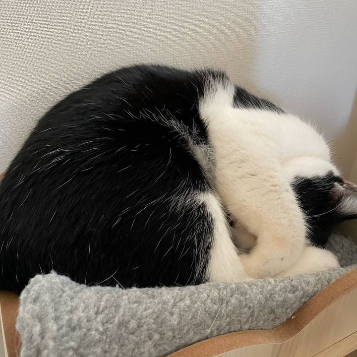 Fc39879a a313 4f1d b68b 93823087a931 1705637014739