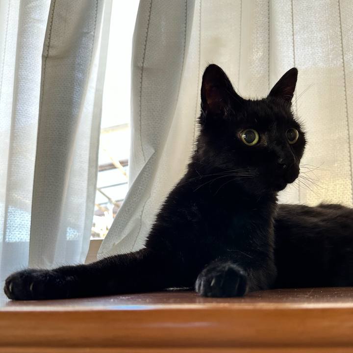 Fc39adeb 373a 4a27 acfb 081463021da1 1685845863098