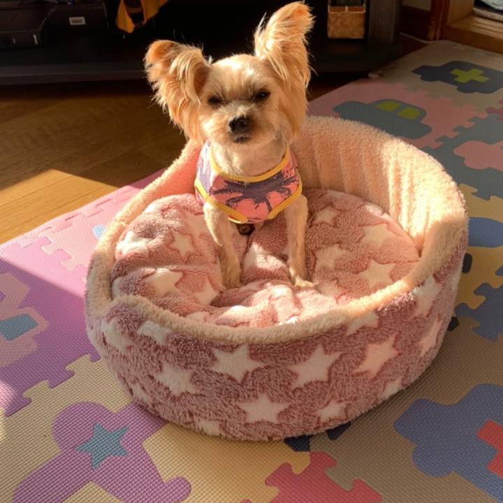 Fc39ae3d 23b1 448a 81b3 dd0f1af05303 1608192655045