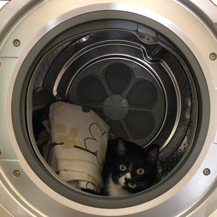 Fc39eca0 54c9 4917 adc2 f6e0605da4be 1535687069522