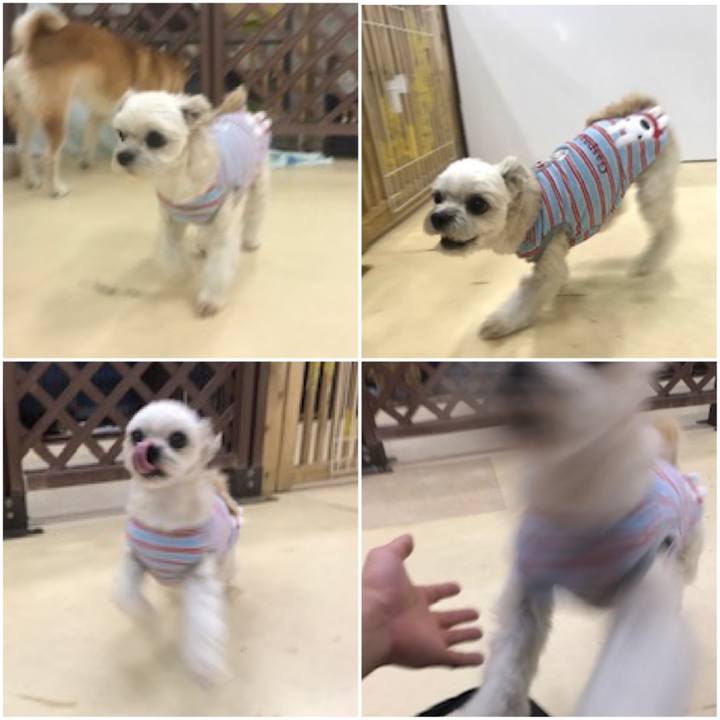 Fc3a1620 9357 4446 a125 2a4a91f0572a 1574078944238