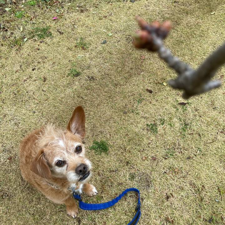 Fc3a162e 973c 4b62 ab37 199e739f8a5c 1711183557611