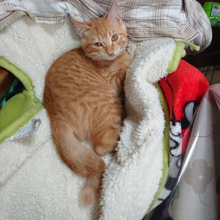 Fc3a27ff 7fd9 46b0 ab39 5dfcf9c0edaf 1633924116301