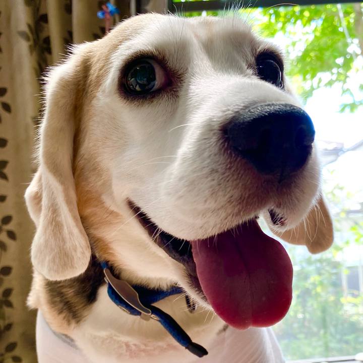 Fc3a4bd0 6271 42af a811 4beabb07436c 1621318584209