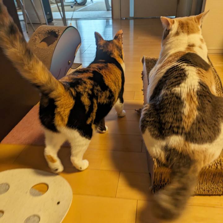 Fc3a4dd6 30b6 4f11 8e83 6ca4db7dc834 1709091952849