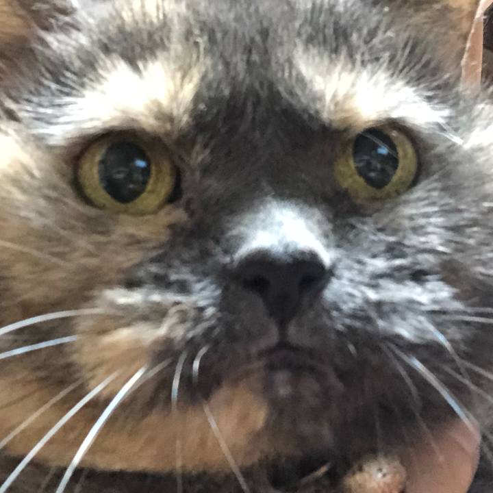 Fc3a5497 a0a6 41c5 9dbf 7846b87dfbe7 1601723524675