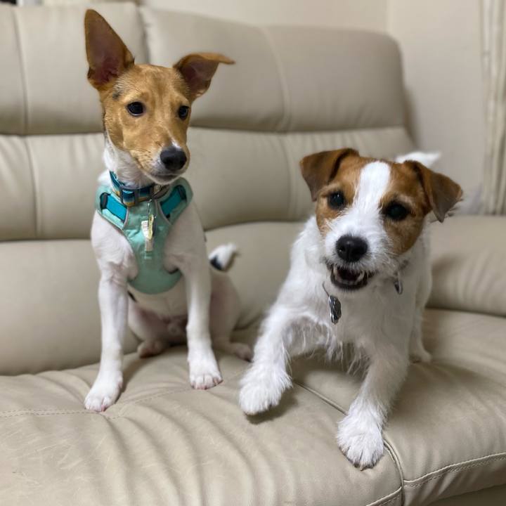 Fc3a5730 86de 4851 a697 8bd51d9c2476 1753091359853