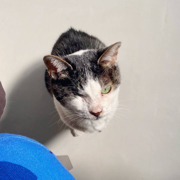 Fc3a585d 1094 477d bcc2 31448e5ca6c8 1616032008608