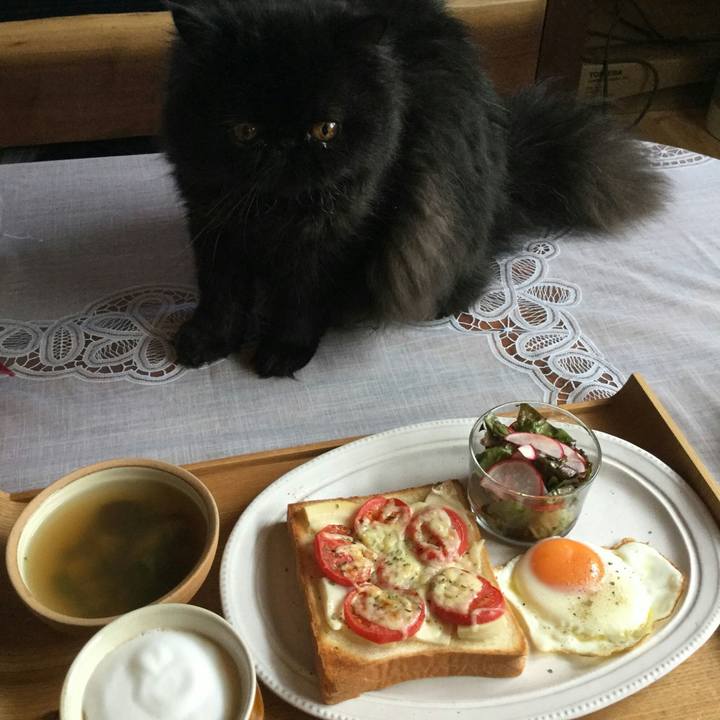 Fc3a6456 aa15 4cb4 96dc b2a10acd6ade 1525317809160