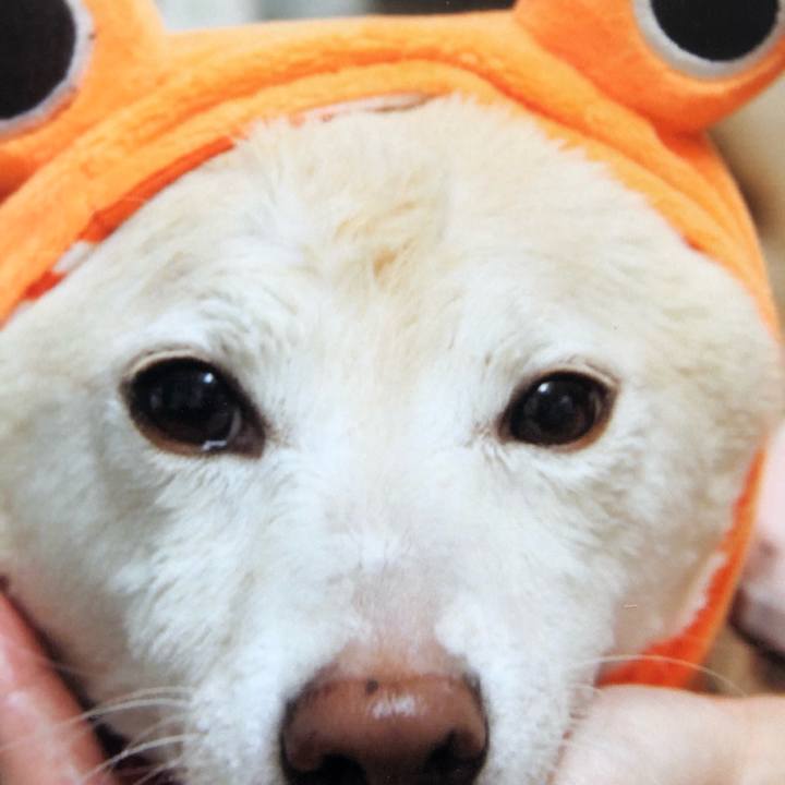 Fc3a8c45 9c28 4094 85e9 1f7d1ddae525 1621413735637