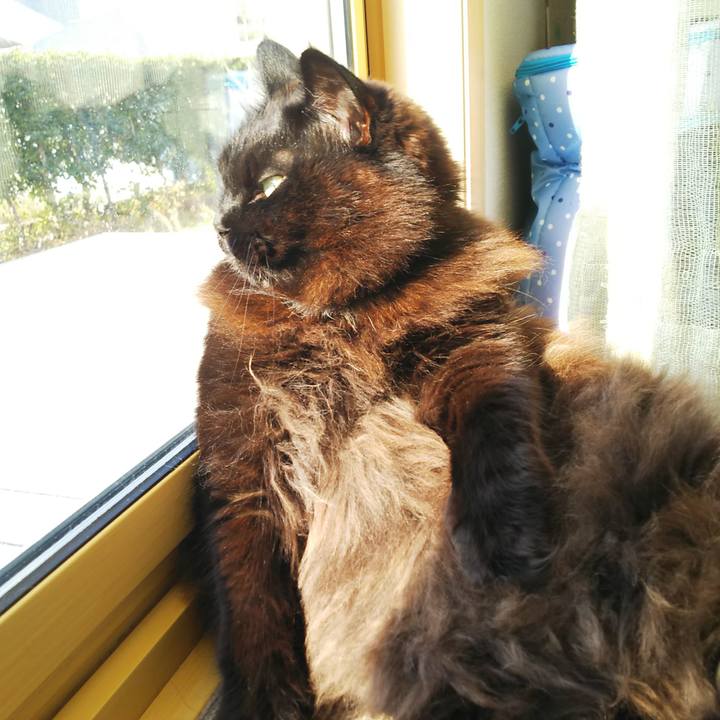 Fc3ab6a3 822d 45e5 a2e4 bd4d9fc22bad 1550791767805