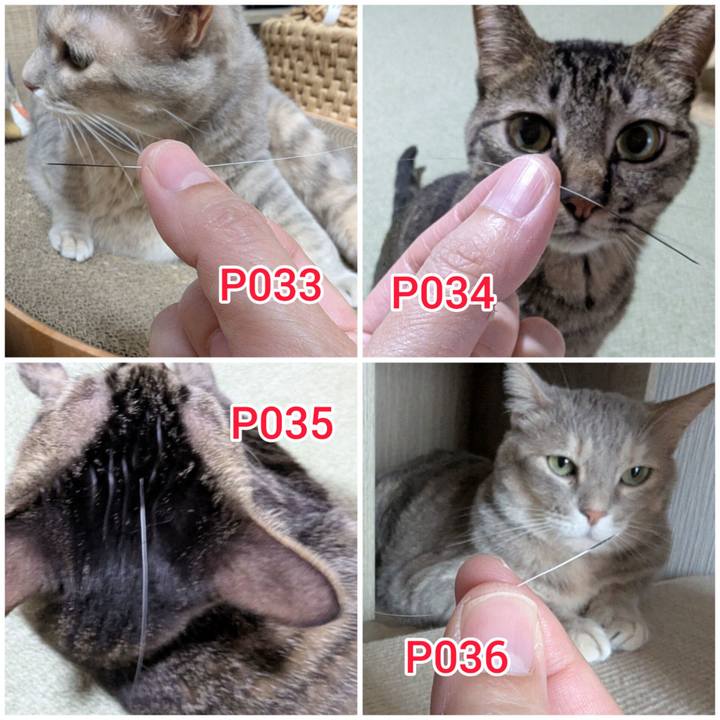 Fc3ae2a3 4fea 49e2 9dfc 85bb10088fc5 1752996614437