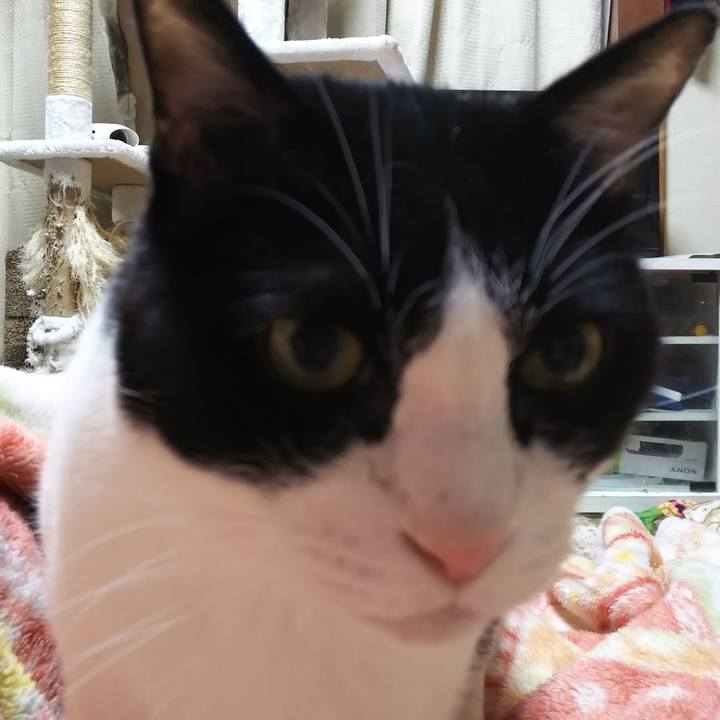 Fc3ae60e f7b5 4126 ac63 b75027c21d24 1573824006102