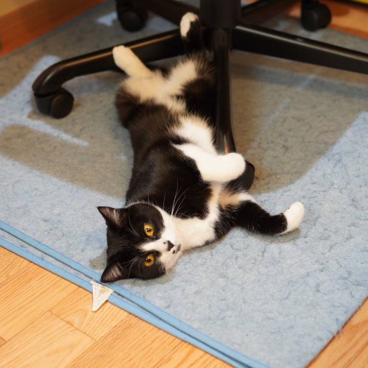 Fc3b0248 af4f 4874 88ea 05b6a0aa2575 1619933550459