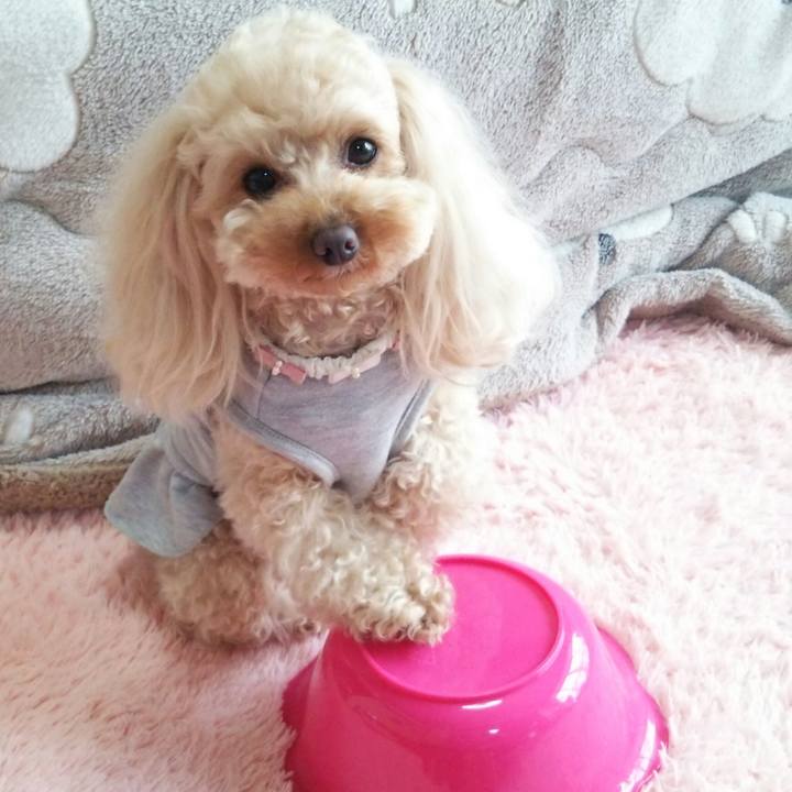 Fc3b1893 5499 4791 a5b3 6dc3086f977a 1521459932967