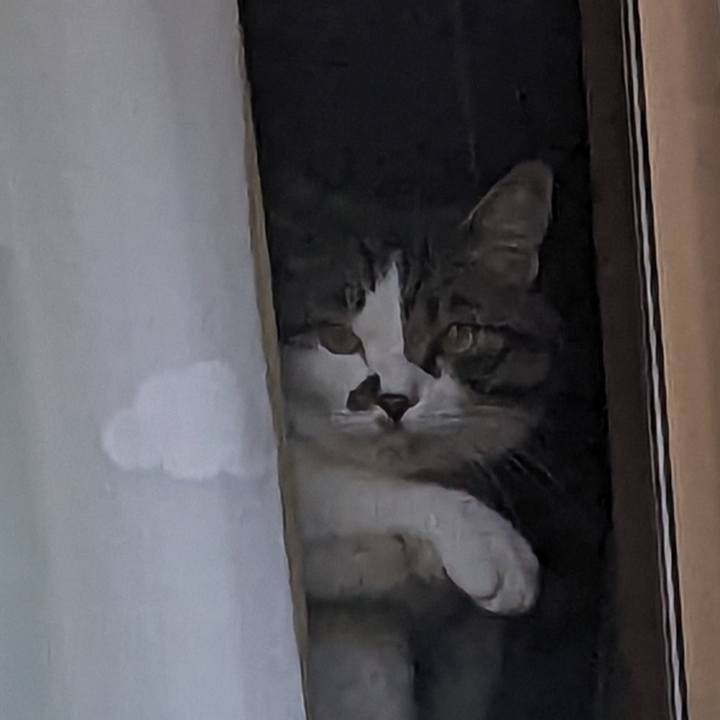 Fc3b3a77 4fa8 45da aa21 9351f4d7a10e 1691360683693