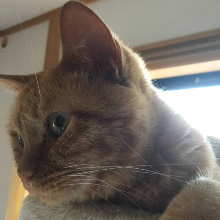 Fc3b4d2e 5e46 4ec6 a46c 60037b84c66f 1531602336382