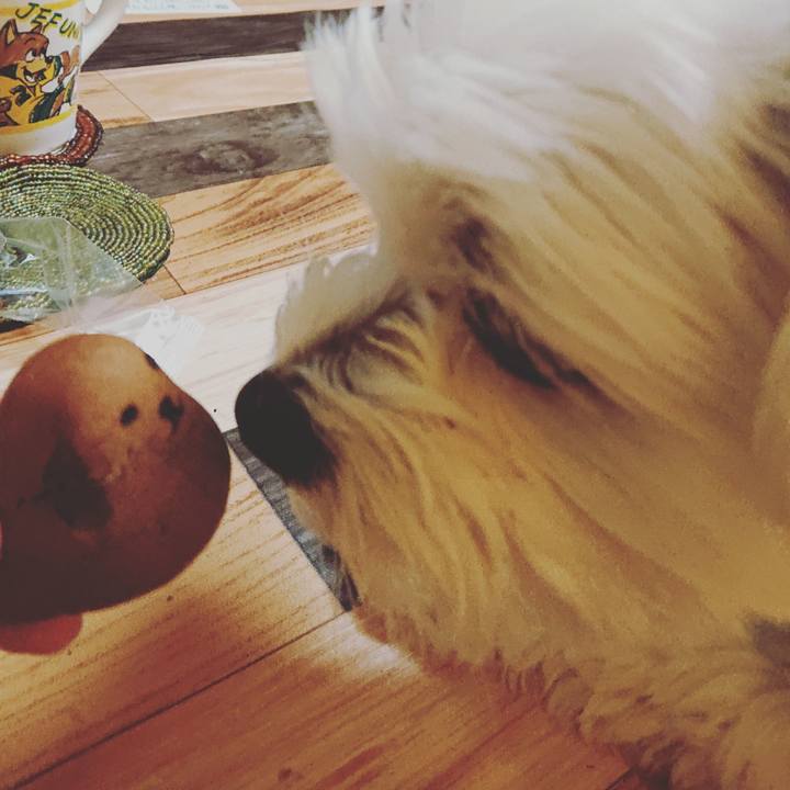 Fc3b6de6 90b3 4a73 a259 ced97a4f560e 1575379871247