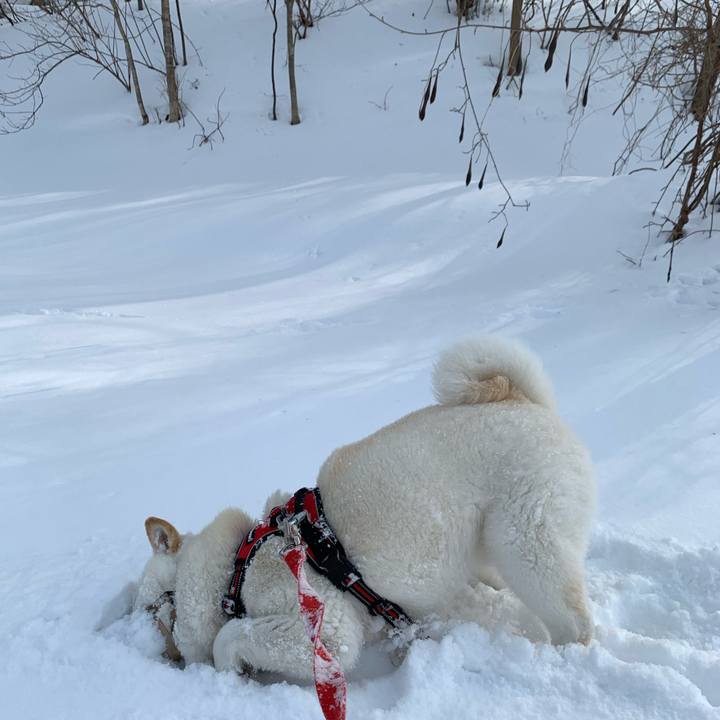 Fc3b8595 97ec 4aa8 9850 d4e9a286bc30 1613277965374