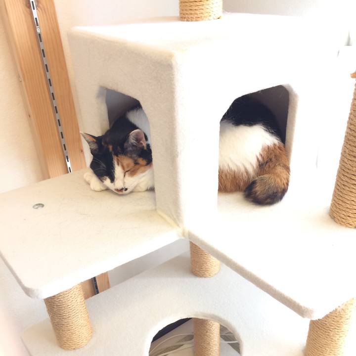 Fc3bb278 5947 4f02 9972 8dd87b2278e1 1591828683654