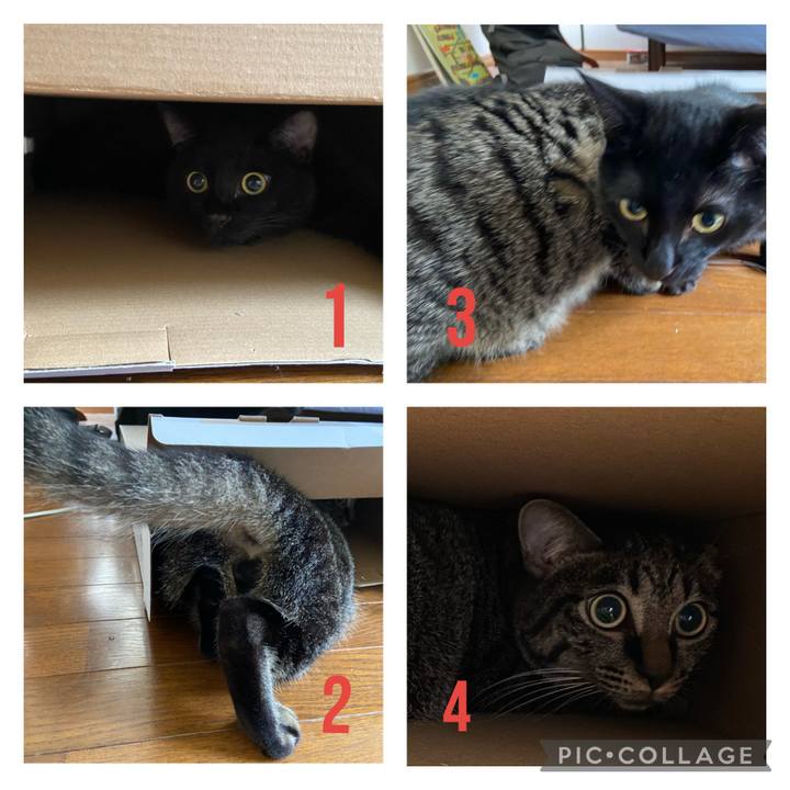 Fc3bc9de bd00 4659 8f75 c91d0da3d926 1629973947073