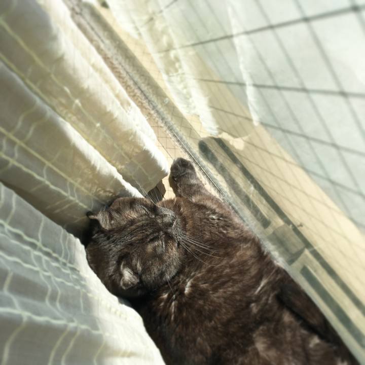 Fc3bddcc 7b42 4d00 8628 944fb1b8cb37 1521252434066