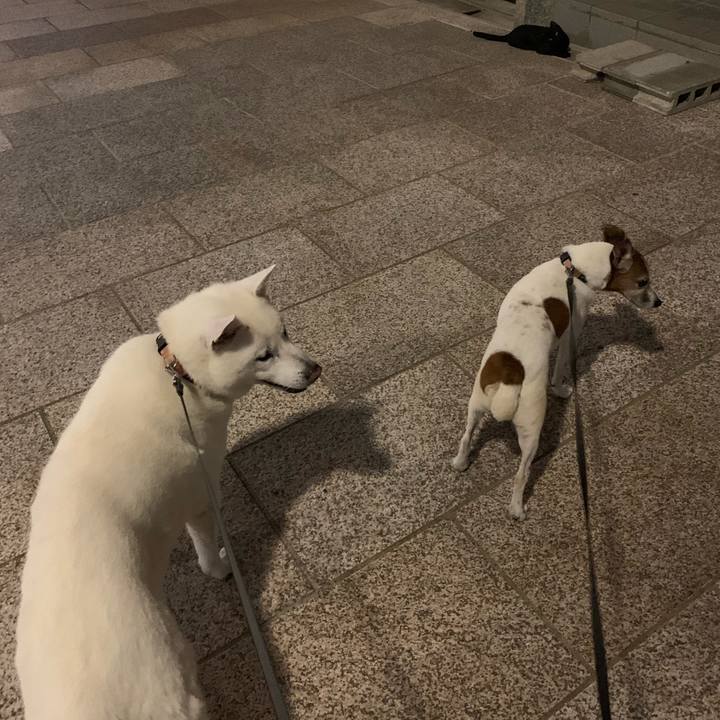 Fc3c1ab1 bc74 4f65 8a5f 7b1efecb84a9 1567855118833